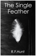 the single feather ruth hunt