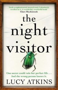 The Night Visitor Lucy Atkins