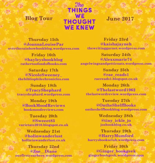 The Things We Thought We Knew Tour Poster