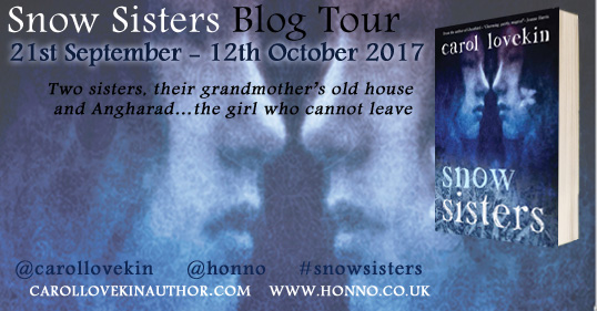 snow sisters blog tour poster