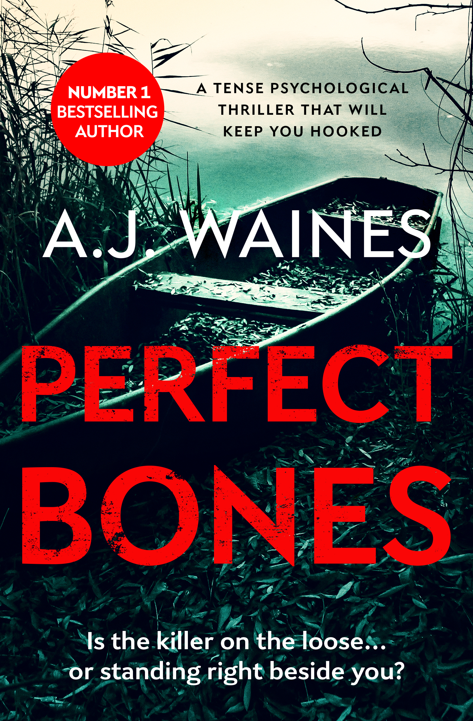 A.J. Waines - Perfect Bones_cover