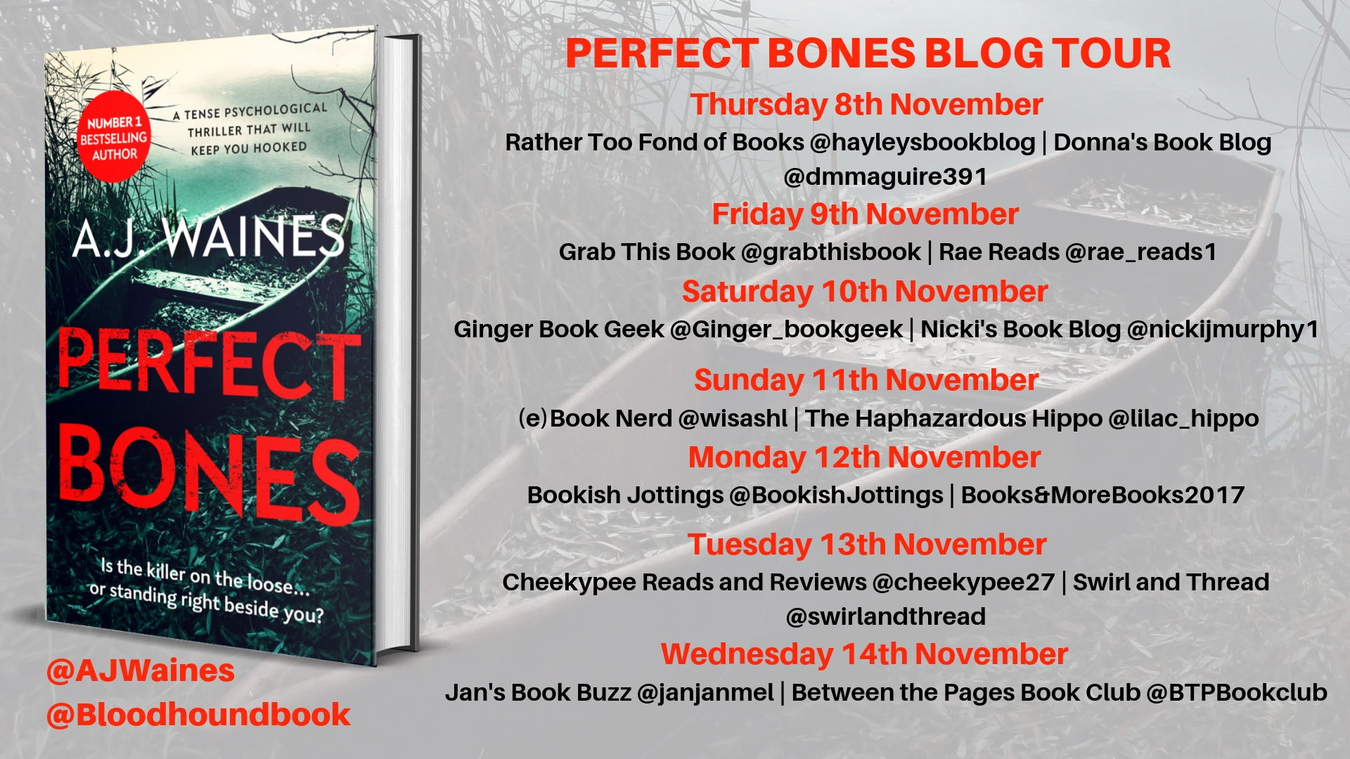 Perfect Bones Blog Tour banner