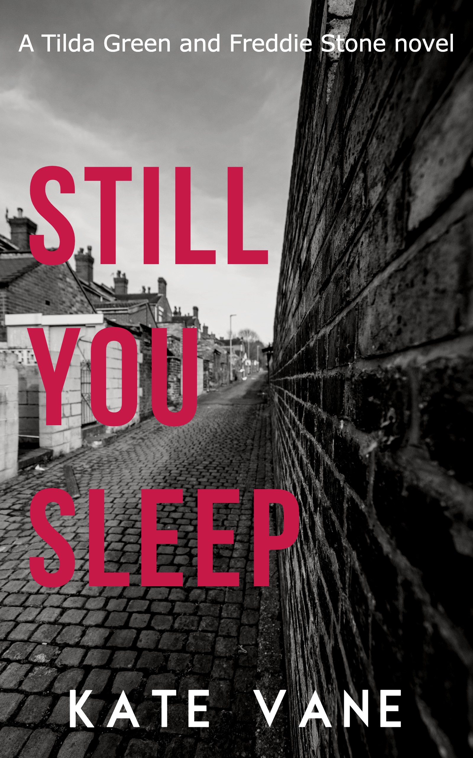 Still You Sleep by Kate Vane