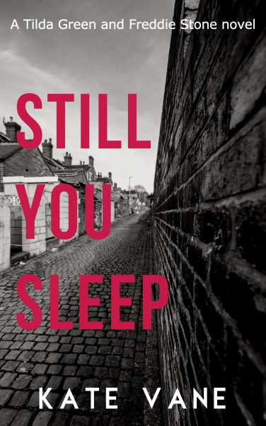Still You Sleep by Kate Vane